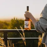 Appartamento Vinařství Válkovi *