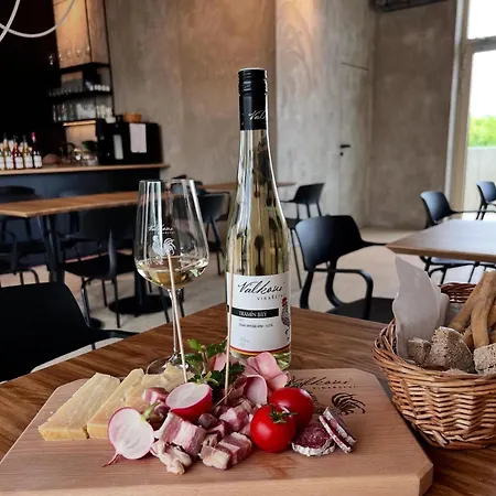 Lägenhet Vinarstvi Valkovi *