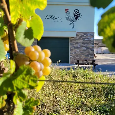 Lägenhet Vinarstvi Valkovi