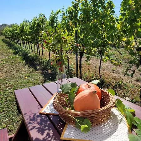 Vinarstvi Valkovi Lägenhet *