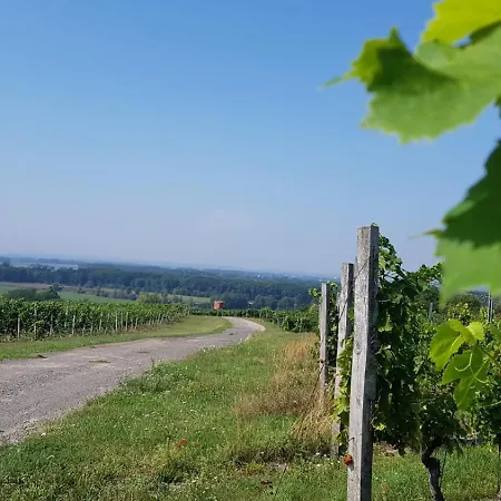 Vinarstvi Valkovi Apartman Mělník